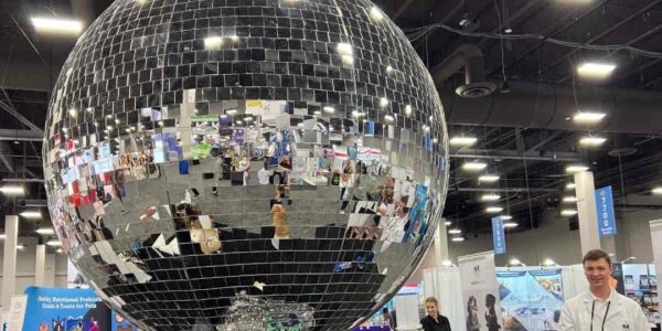 Giant-Disco-Ball-Dog-Event