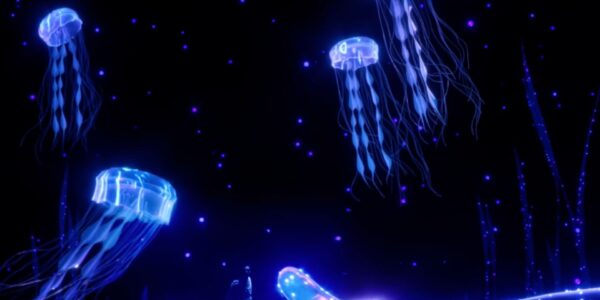 Hologram-Projection-Shows-Jelly-Fish