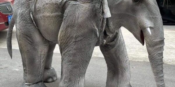 Life-Like-Walkabout-Elephant