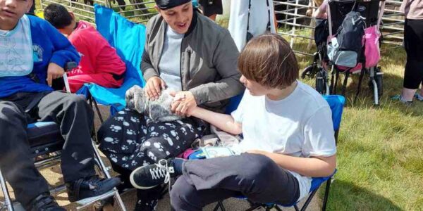 Petting-Farm-For-Children-Rabbits