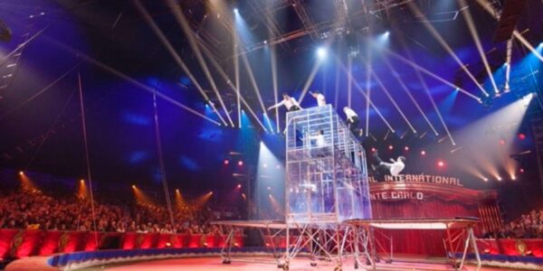 Trampoline-Wall-Show-Whole
