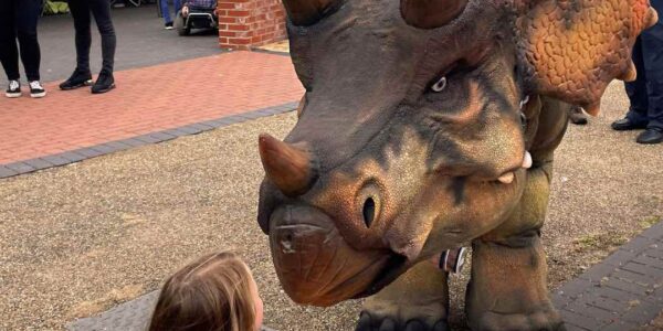 Triceratops-For-Events-Little-Girl