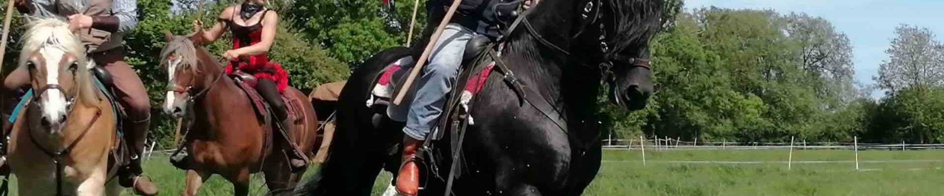 Wild-West-Equestrienne-Stunt-Show-Black-Horse Wild-West-Equestrienne-Stunt-Show-Black-Horse