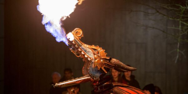 Head-Of-Walkabout-Fire-Breathing-Dragon