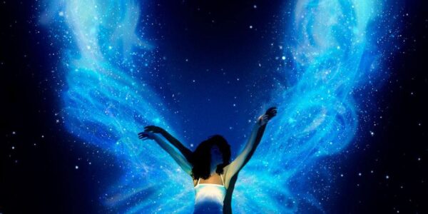 Video-Dance-Mapping-Show-Wings