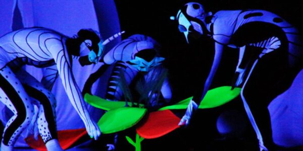 Animal-Themed-UV-Show