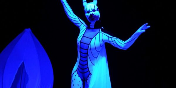 Animal-Themed-UV-Show-Performer
