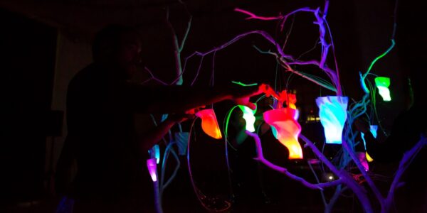 Art_Installation_Forest