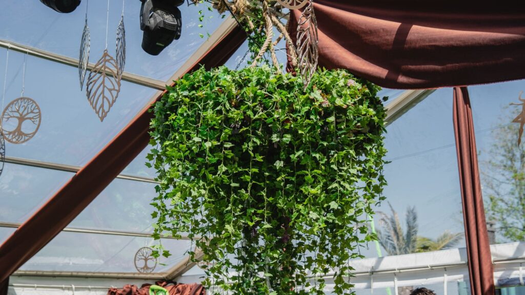 Fake green foliage hanging from marquee ceiling.