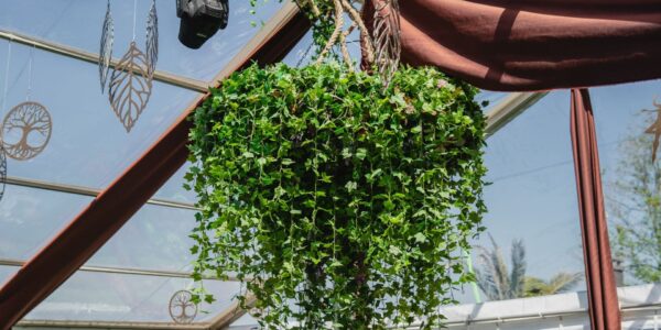 Clearspan-Marquee-Ceiling-Plant-Decorations