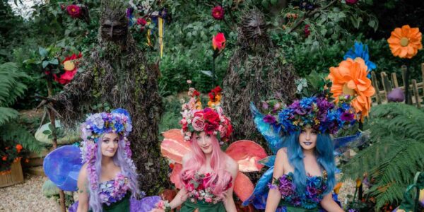 Enchanted-Fairies-And-Trees