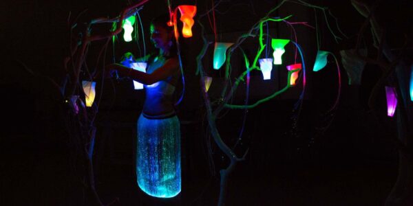 Interactive_Magic_Forest