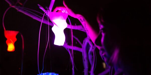 Magic_Forest_Event_Installation