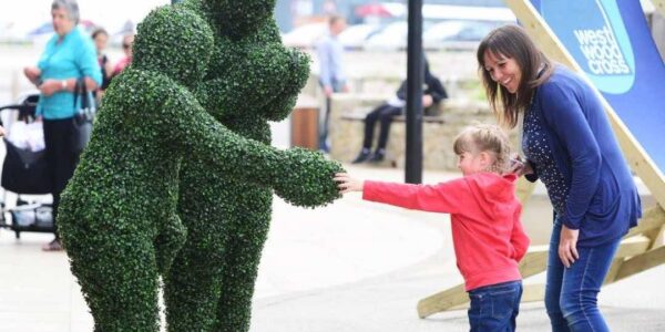 Walkabout_Hedges-Greeting