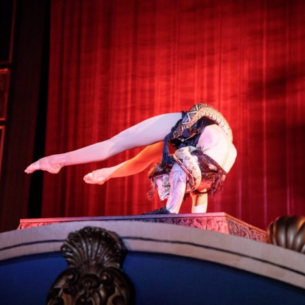 Snake contortionist and hand balancing performer for a live stage show