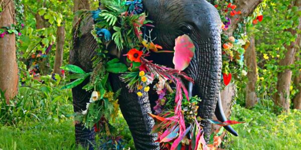 Bringing the magical forest theme to life with our life-size elephant decorated in vibrant pink flowers and foliage