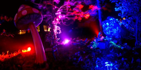 Using special lighting we can create a stunning enchanted garden theme scene illuminated at night with dazzling pink and purple including toadstools and animal props
