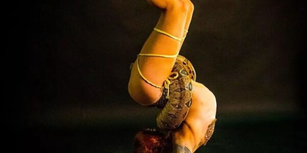 Hand-Balancing-With-Live-Snake