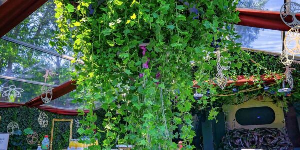 We designed the bar within the marquee to be the centrepiece to the event space. To enhance the event bar, we created a hanging foliage prop chandelier to sit within the centre of the bar.