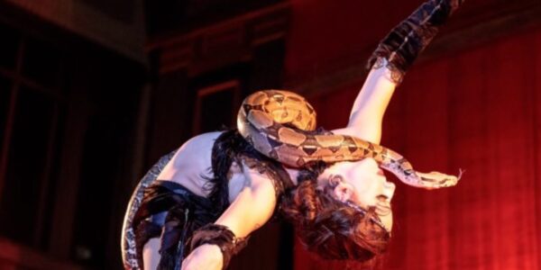 Live-Snake-Charmer-Performing-Contortion