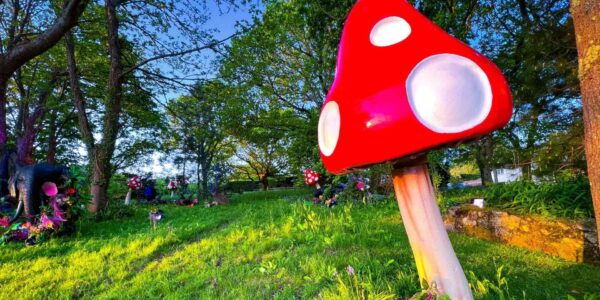 We can use magical giant toadstool props and whimsical garden set designs for immersive enjoyment