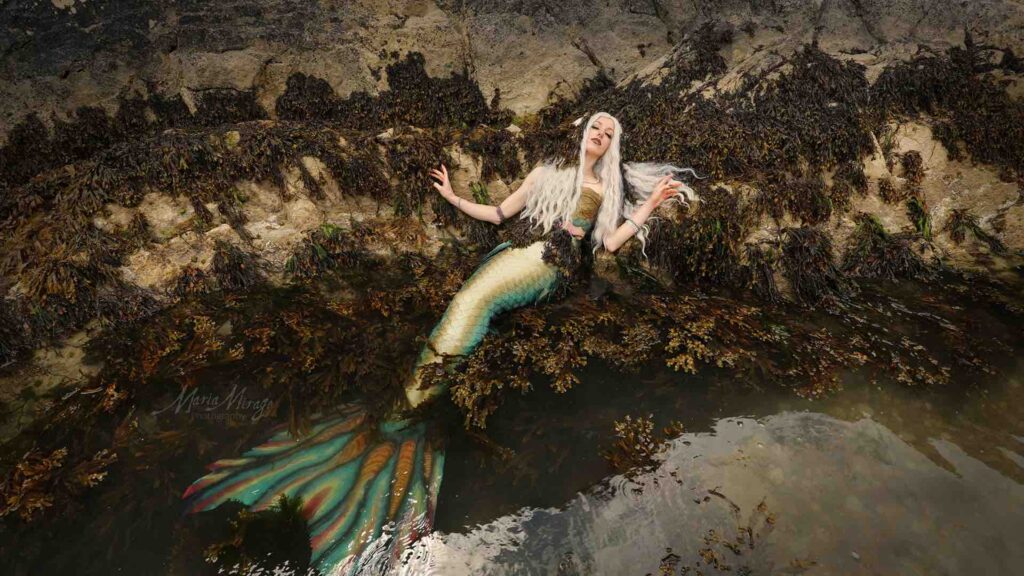 An enchanted mermaid performer on a rock with white hair and beautiful long costume tail