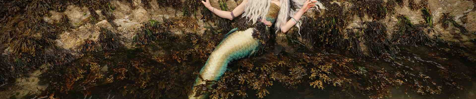 Mermaid-Character-On-Rocks Mermaid-Character-On-Rocks