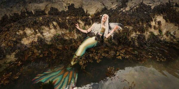 Mermaid-Character-On-Rocks