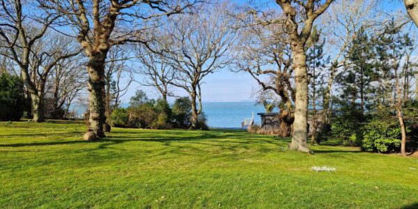 Private-Island-Party-Outdoor-Area-Before-Transformation