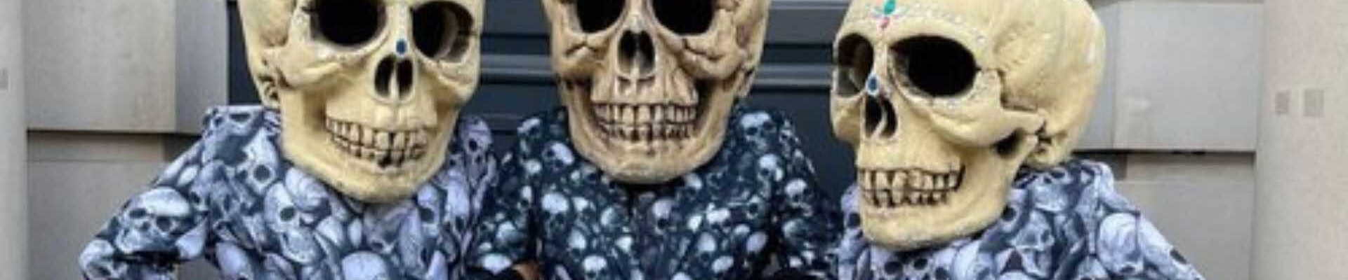 Skull-Head-Halloween-Trio Skull-Head-Halloween-Trio