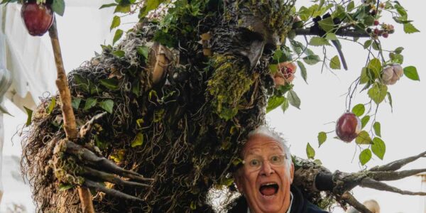 Stilt-Walking-Tree-With-Guest