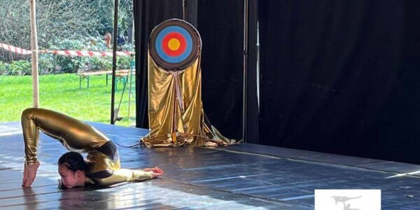 Target-For-Bow-And-Arrow-Act
