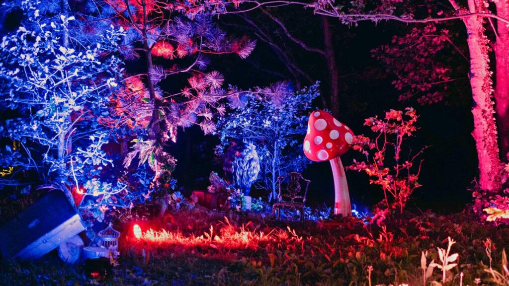 Night time shot of enchanted forest theme for a party featuring toadstool