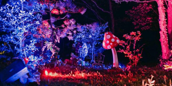 We designed this mushroom prop and garden scenery illuminated at night by red and purple light.