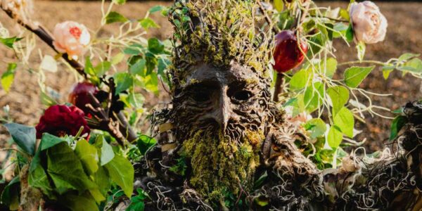 Tree-Stilt-Walker-Face