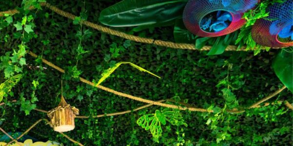 Creating an artistic display of lush green hanging foliage complemented by carefully placed props