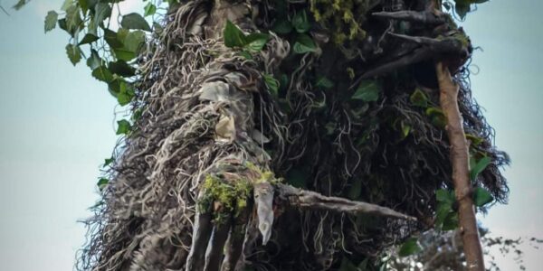 Woodland-Tree-Stilt-Walker