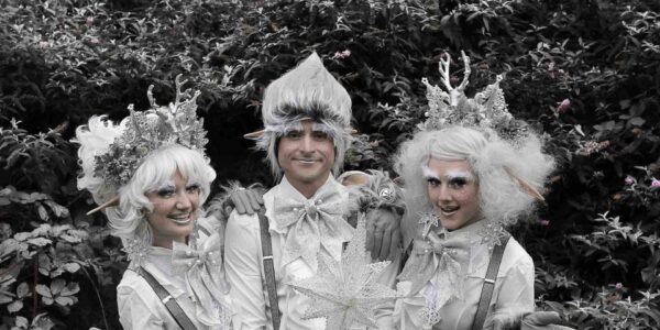 Trio-Of-Cold-Elves