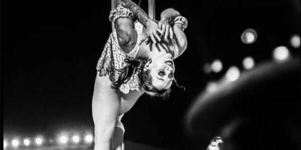 Aerial-Hammock-Performer