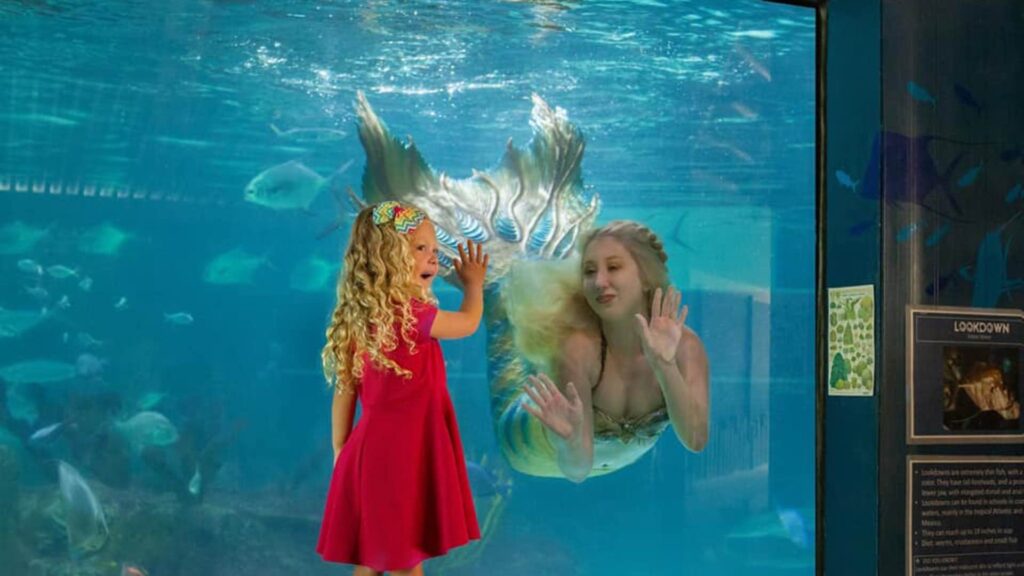 A mermaid underwater holds out her hand to a young girl at an aquarium