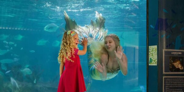 Aquarium-Real-Life-Mermaid