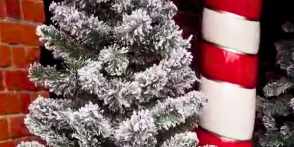Christmas-Tree-And-Candy-Cane