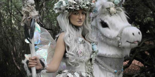 Enchanted-Frosty-Themed-Unicorn-And-Fairy