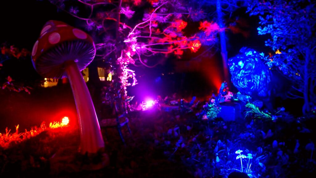 Enchanted garden production with illuminated props at a nighttime event.