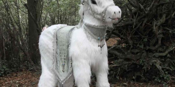 Enchanted-Unicorn-Act
