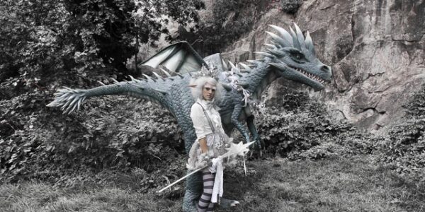 Frost-Themed-Dragon-With-Elf