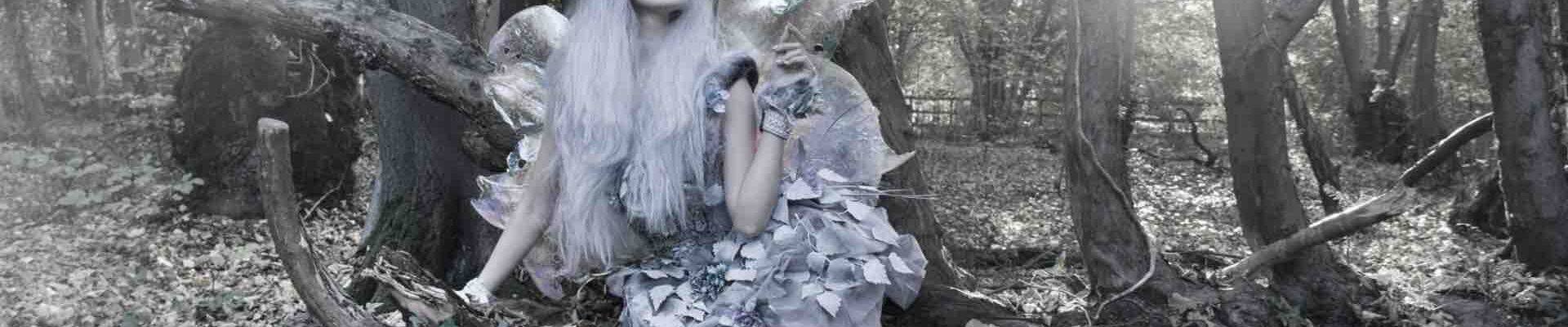 Frost-Themed-Woodland-Fairy Frost-Themed-Woodland-Fairy