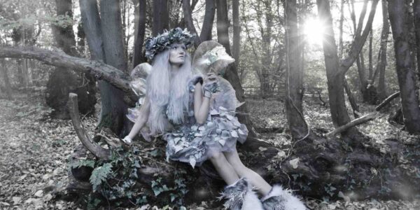 Frost-Themed-Woodland-Fairy