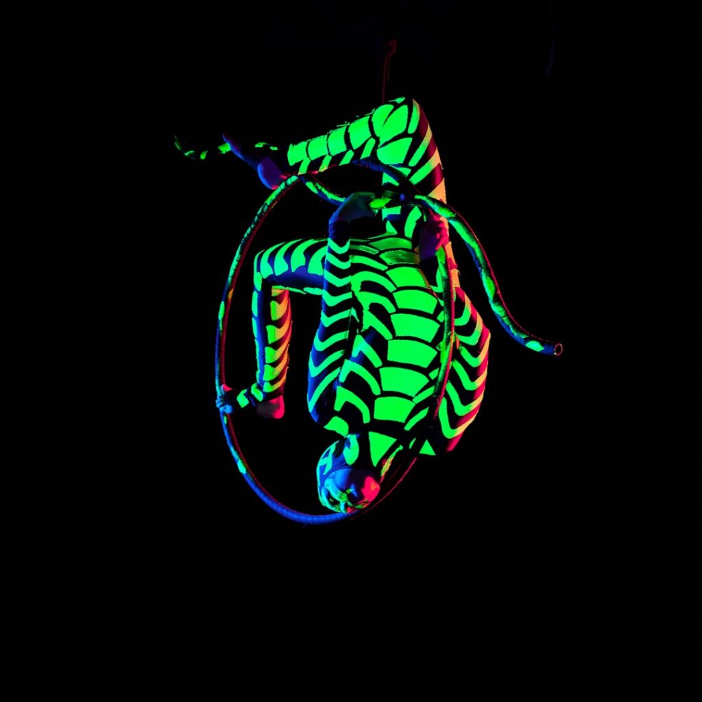 An aerial artist wears glowing green outfit to perform in a hoop in the air