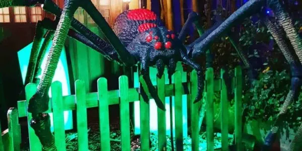 Terrifying giant spider props used for a house dressing. Our client loved this incredibly creepy feature!